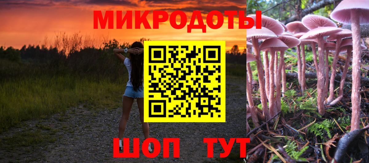 Галлюциногенные грибы Magic Shrooms Бугуруслан