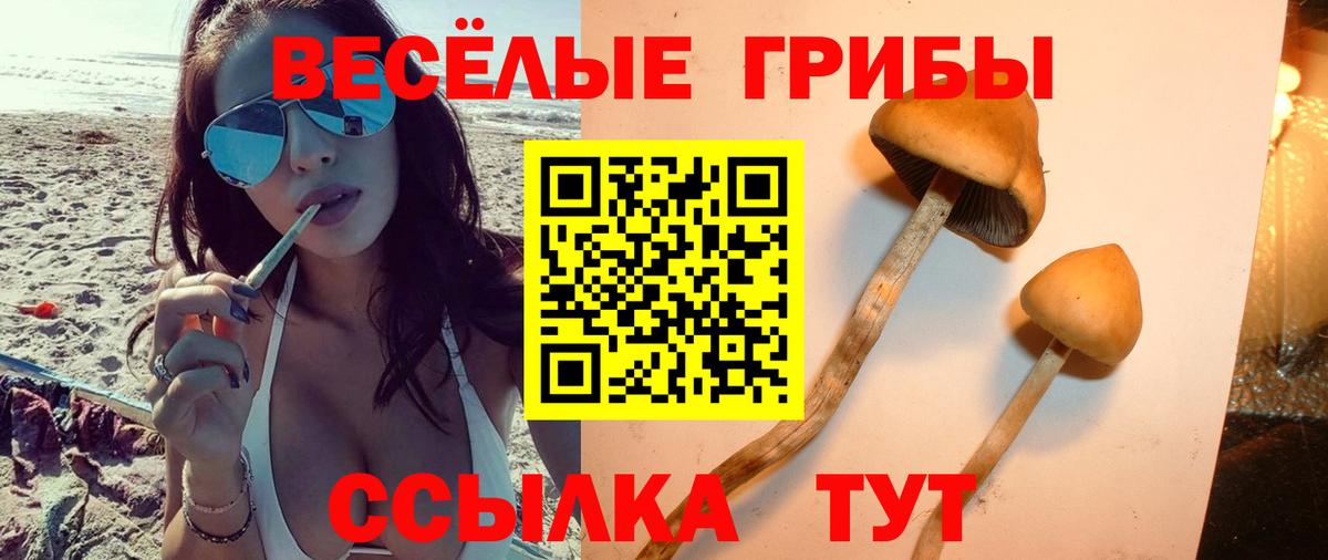 Псилоцибиновые грибы Cubensis  Псилоцибиновые грибы GOLDEN TEACHER  цена наркотик  Бугуруслан  Вход с VPN 